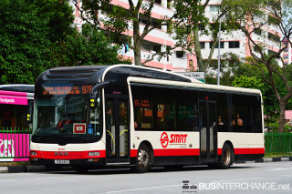 SMB 241G - 976